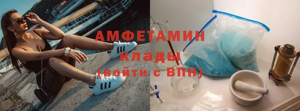 индика Горняк