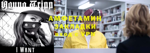 индика Горняк