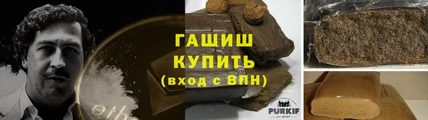 индика Горняк