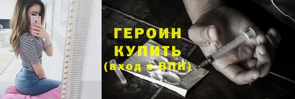 индика Горняк