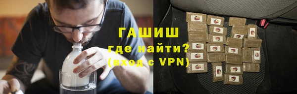 индика Горняк