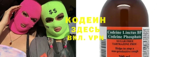 индика Горняк