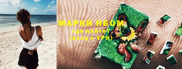 индика Горняк