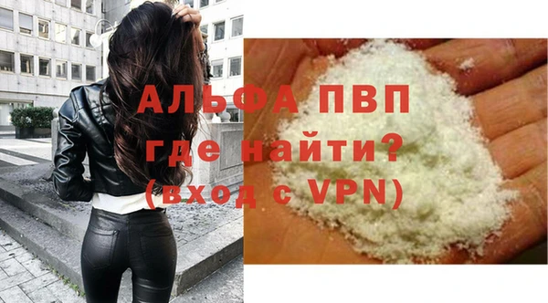 индика Горняк