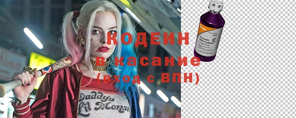 индика Горняк