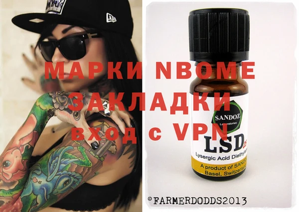 индика Горняк