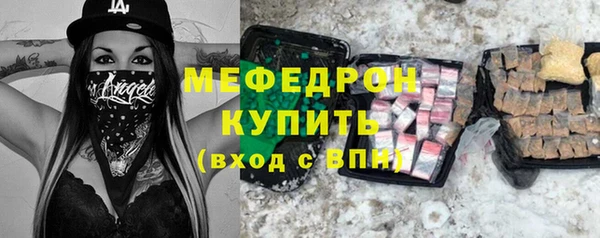 индика Горняк