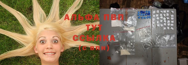 индика Горняк