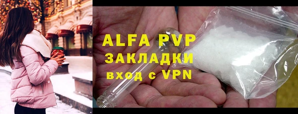 индика Горняк