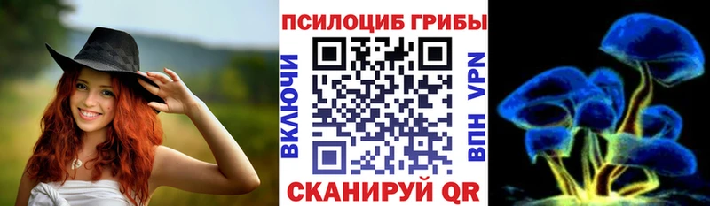 купить закладку  Оренбург  Галлюциногенные грибы Psilocybine cubensis 